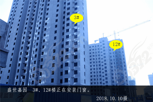 盛世01.jpg