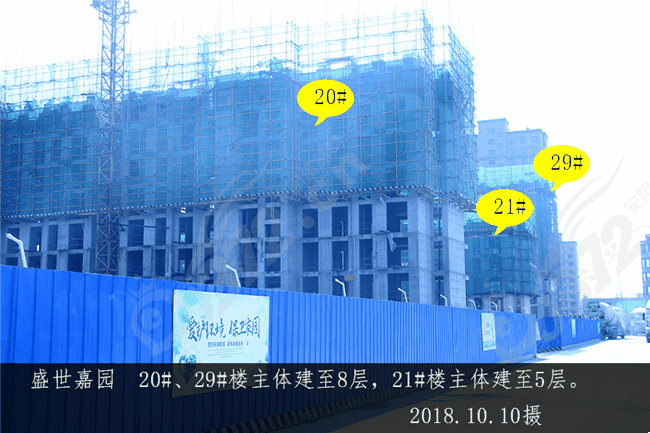 盛世03.jpg