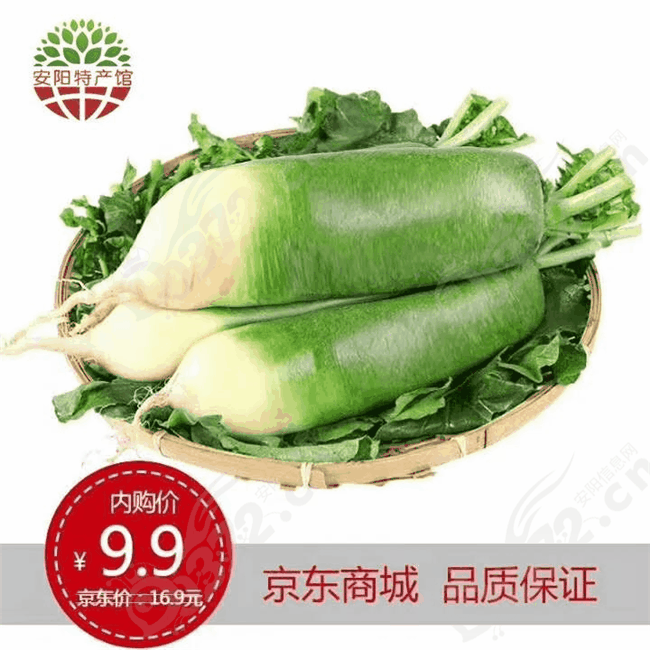 微信图片_20190109100244.jpg