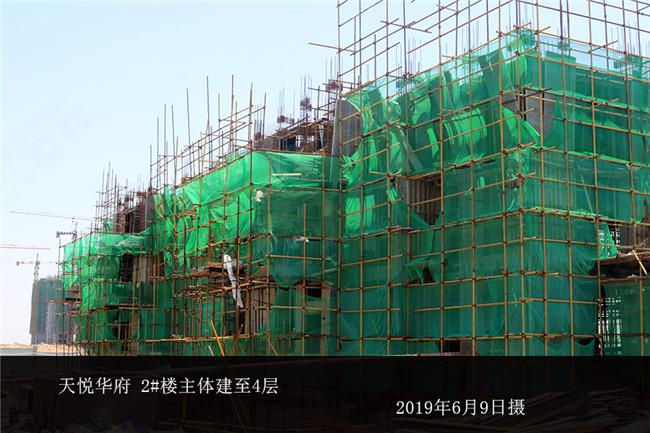 天悦001_副本.jpg