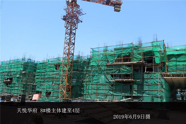 天悦00005_副本.jpg