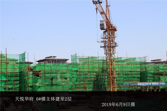 天悦000220_副本.jpg